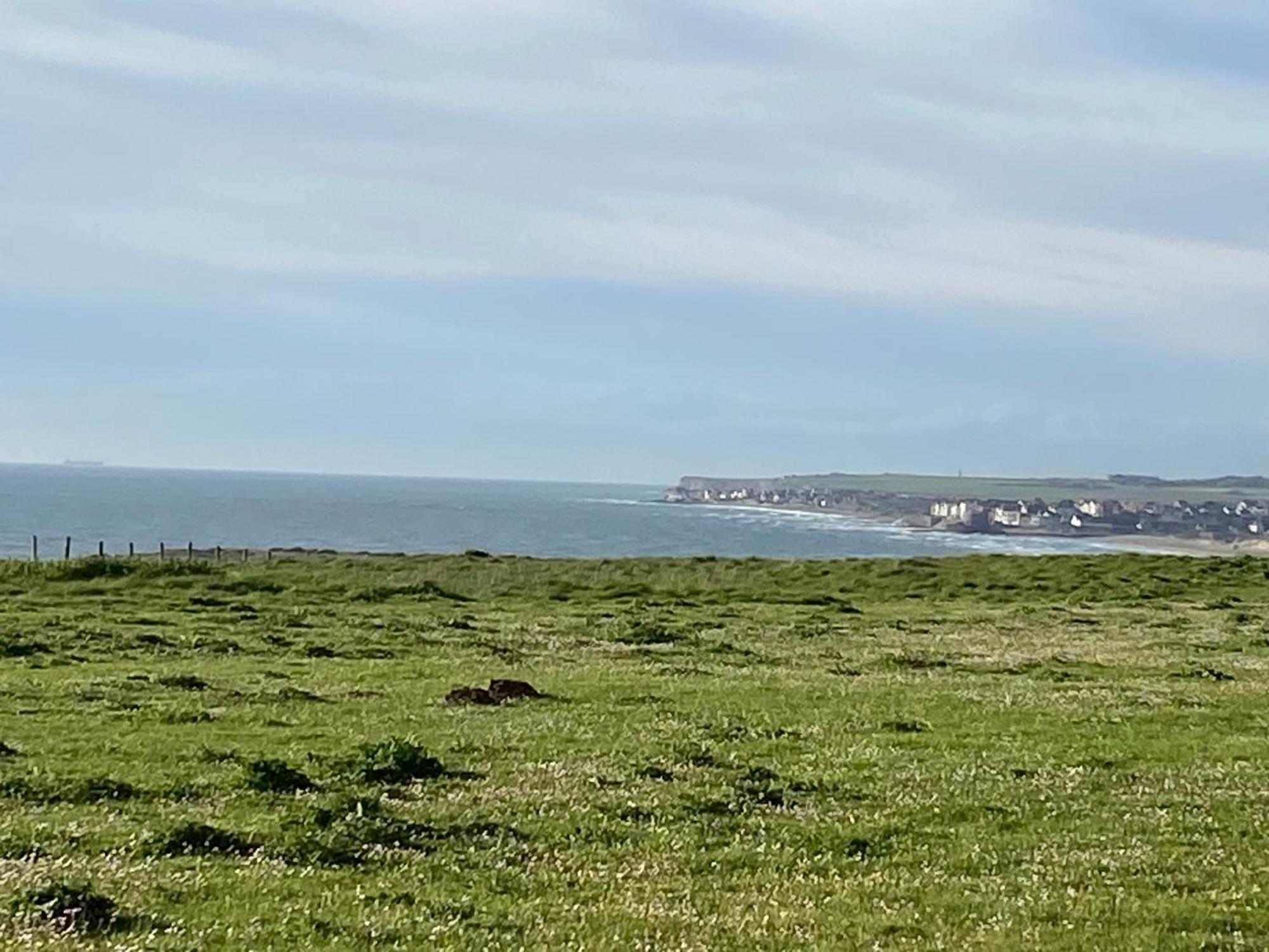 Brise De Mer Sur La Naturelle, Studio A Wimereux , Parking エクステリア 写真